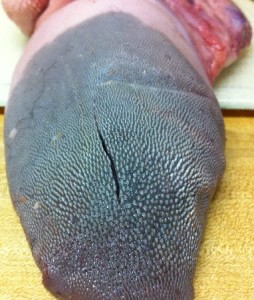 Cow tongue