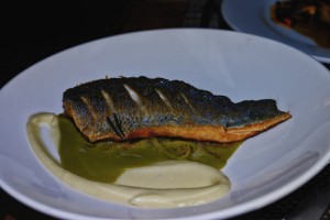 Charlotte's Bistro Turnham Green - Pan Fried Sea Bass, Salsify & Braised Leeks
