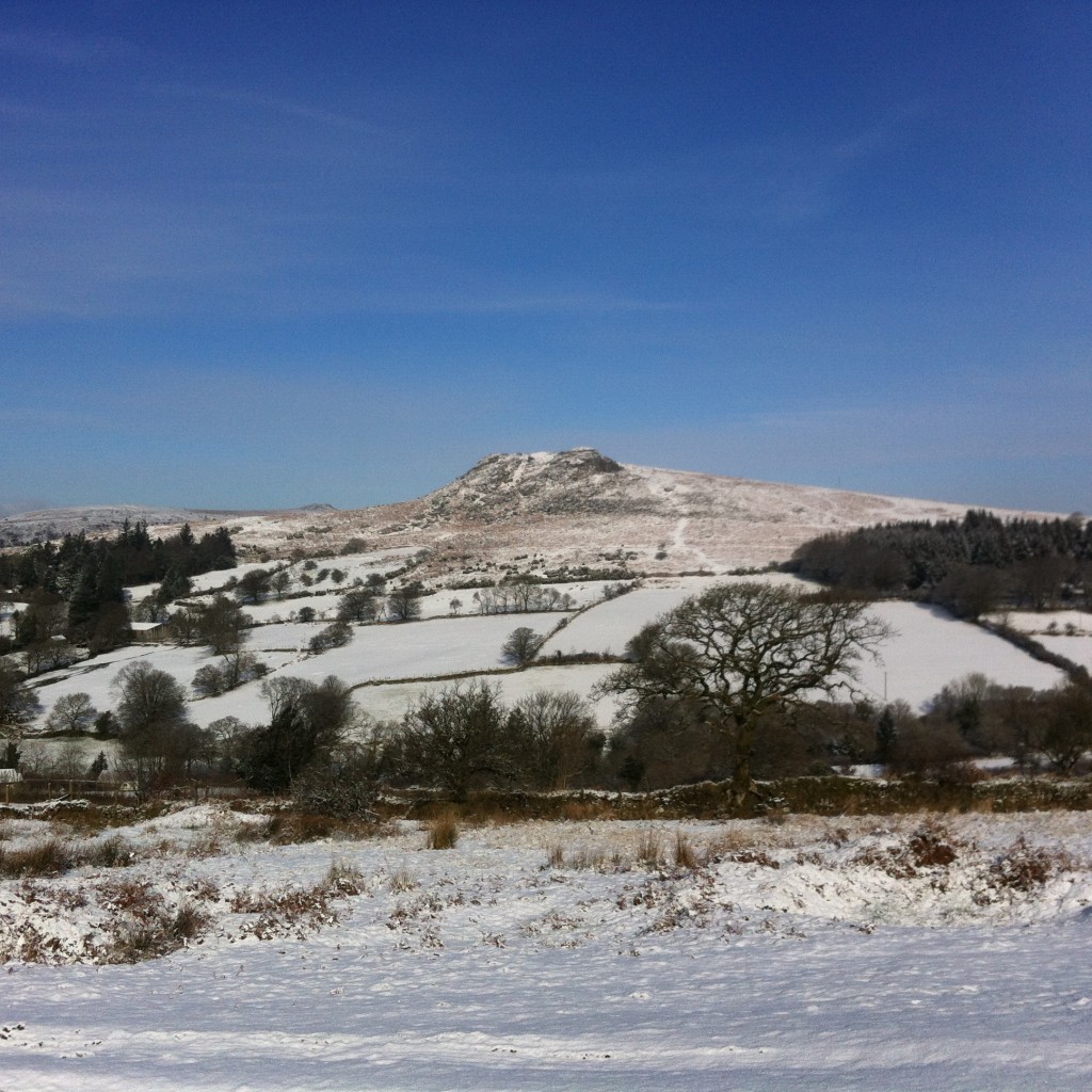 Farm fresh food and  drink in Dartmoor