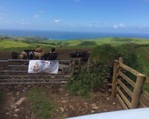 Cornwall food events