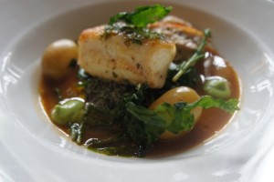 Newlyn fish and seaweed