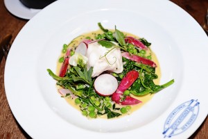 TastingBritain.co.uk - The Kingham Plough, Kingham, Chipping Norton, Oxfordshire - Cornish Monkfish