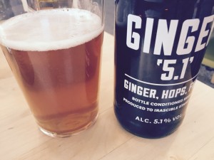 Ginger 5.1