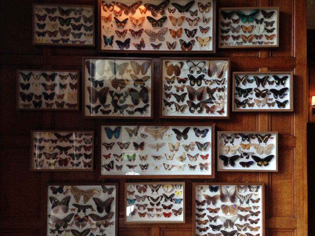 Bovey Castle - Bar Decor