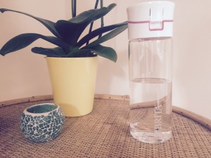 Refillable water bottle