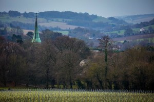 Tasting Britain - Charles & Ruth Simpson Wine Estate Interview-0010