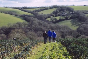 Tasting Britain - Myles Hopper & Giles Humphries Mindful Chef Interview -0002