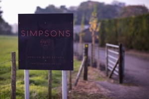 tasting-britain-simpsons-english-wine-estate-launches-0004